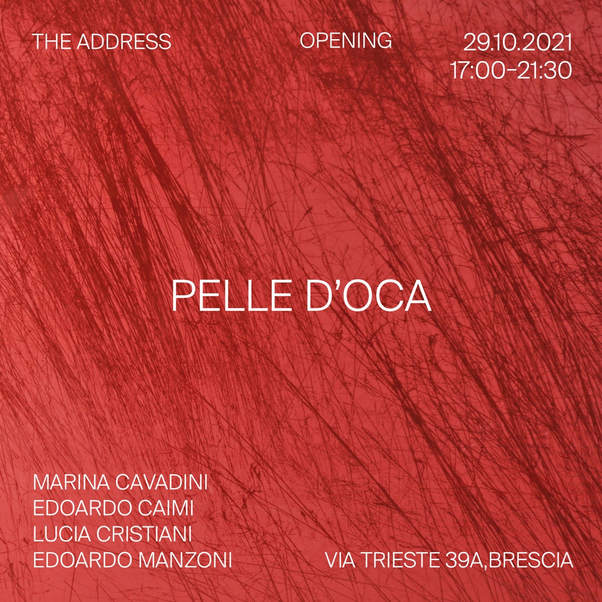 Pelle d’oca